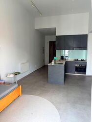 Loft @ Rangoon (D8), Apartment #592743291